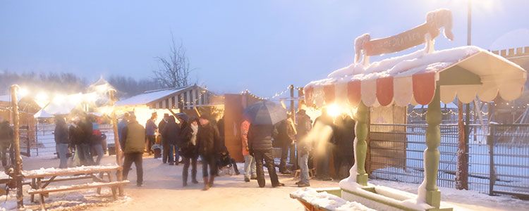 Bezoekers van het evenement